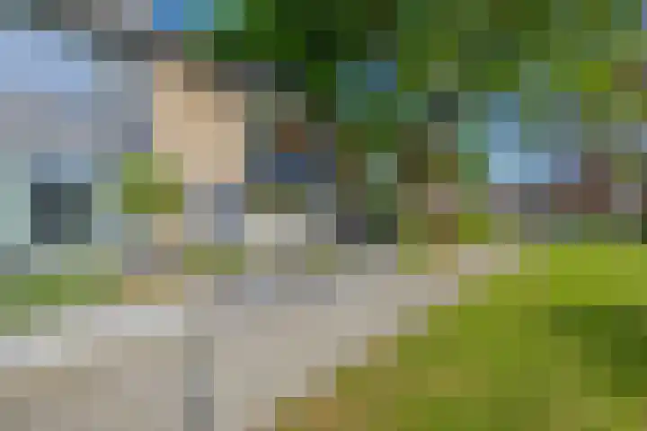 Koningin Wilhelminasingel 36 Waddinxveen thumbnail 8