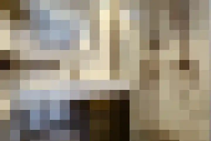 Koningin Wilhelminasingel 55 Waddinxveen thumbnail 24