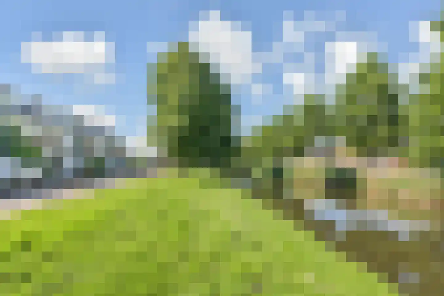 Koningin Wilhelminasingel 83 Waddinxveen thumbnail 52