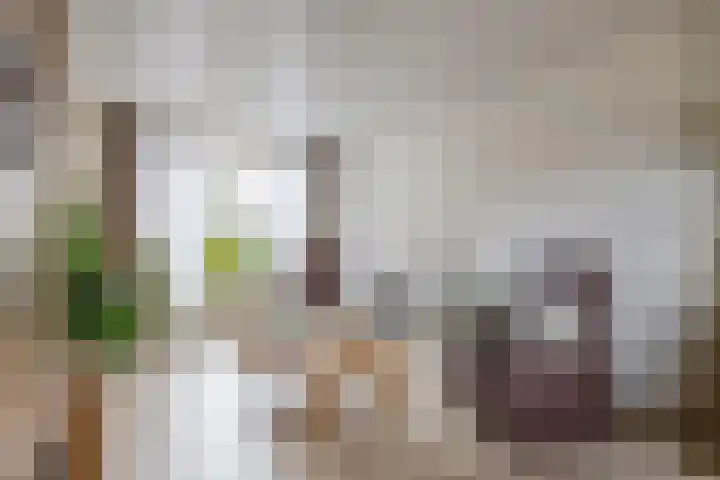 Koningin Wilhelminasingel 9 Waddinxveen thumbnail 11