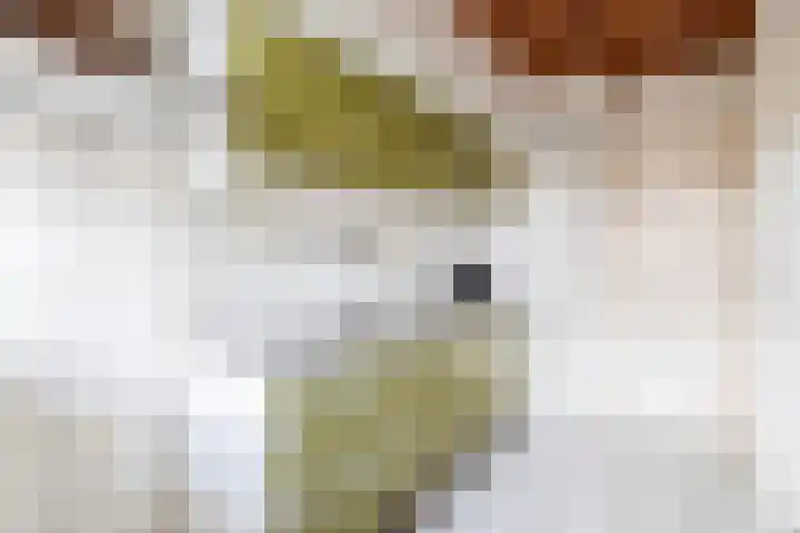Koningin Wilhelminasingel 9 Waddinxveen thumbnail 15