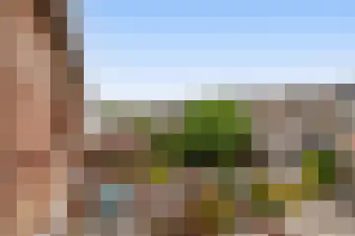 Koningin Wilhelminasingel 9 Waddinxveen thumbnail 28
