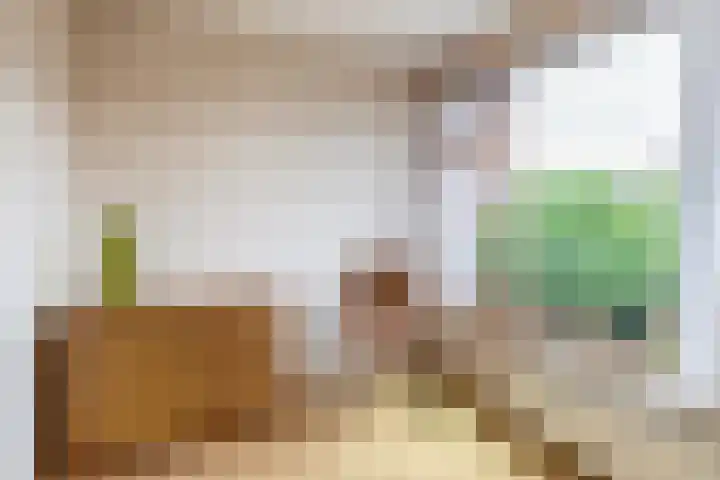 Koningin Wilhelminasingel 9 Waddinxveen thumbnail 31