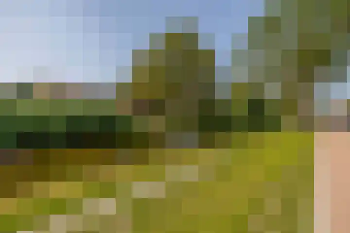Koningin Wilhelminasingel 9 Waddinxveen thumbnail 35