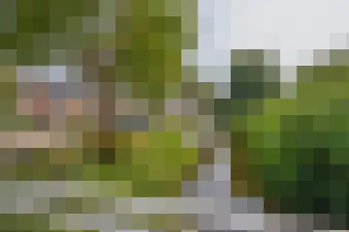 Koningin Wilhelminasingel 9 Waddinxveen thumbnail 36