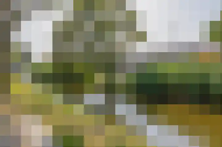 Koningin Wilhelminasingel 9 Waddinxveen thumbnail 37