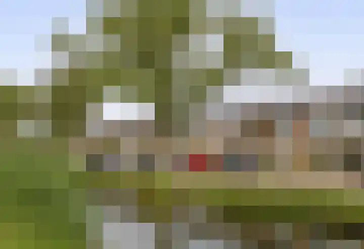 Koningin Wilhelminasingel 9 Waddinxveen thumbnail 5