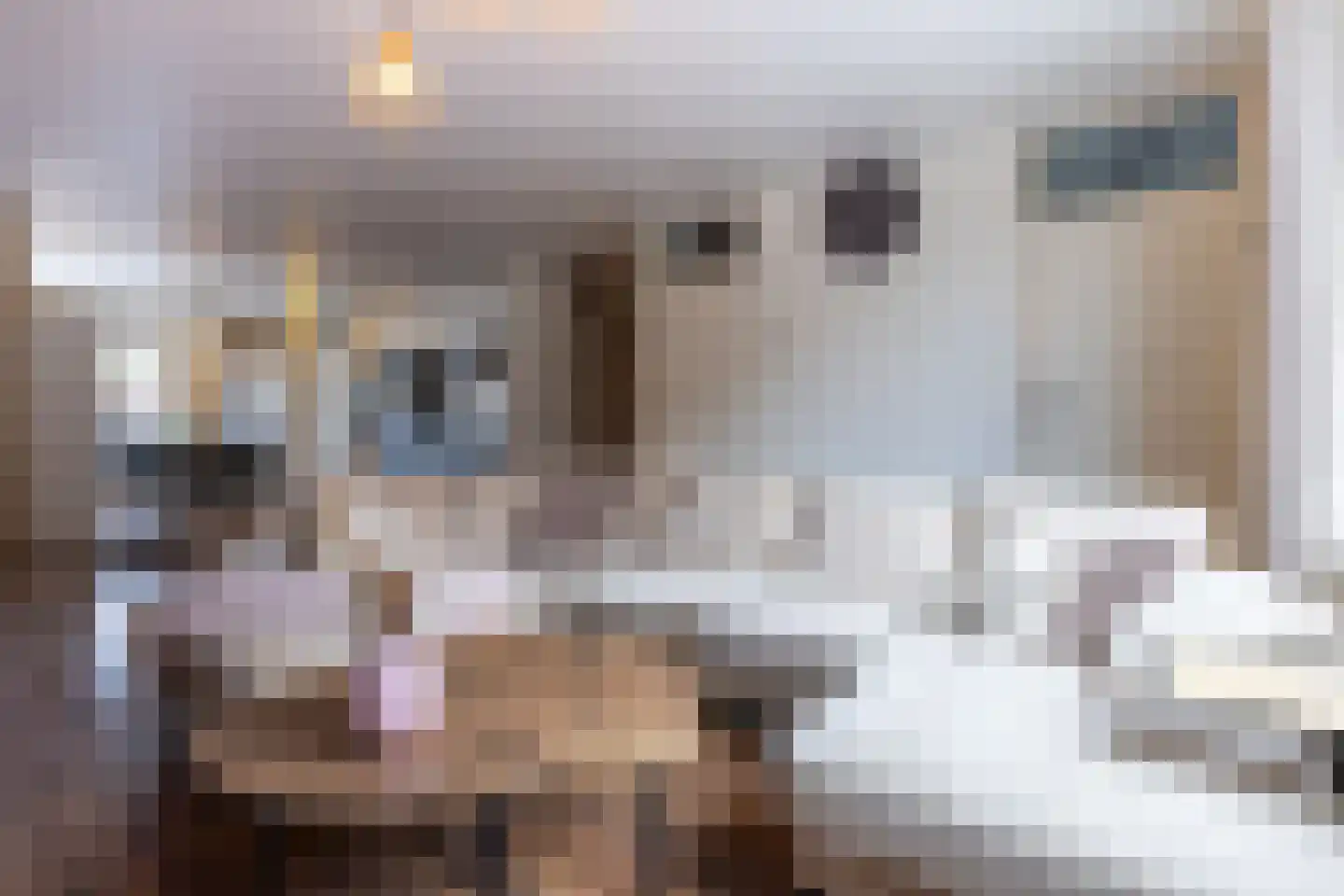 Koningin Wilhelminastr 11 Ossendrecht thumbnail 8