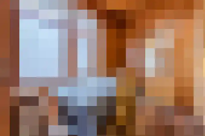 Koningin Wilhelminastr 16 Ossendrecht thumbnail 13