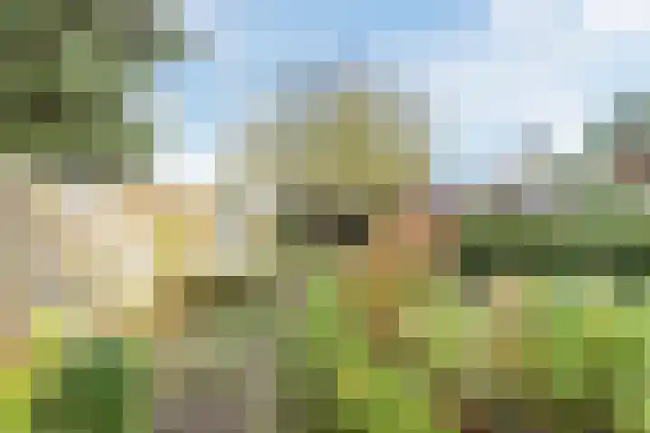 Koningin Wilhelminastr 18 Ossendrecht thumbnail 25
