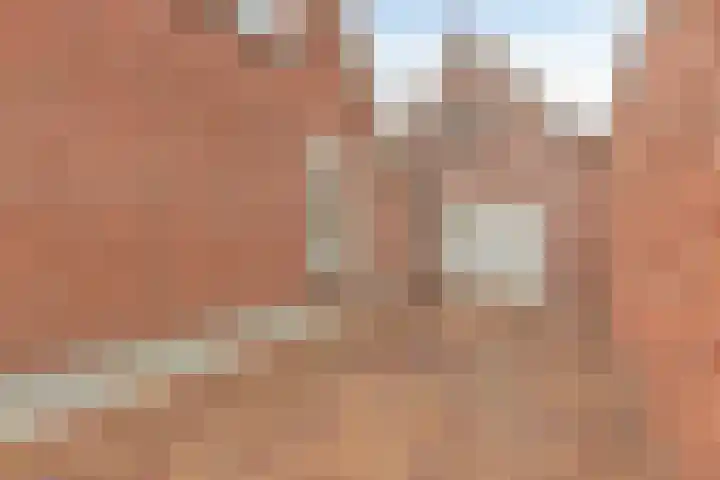Koningin Wilhelminastr 7 Ossendrecht thumbnail 30