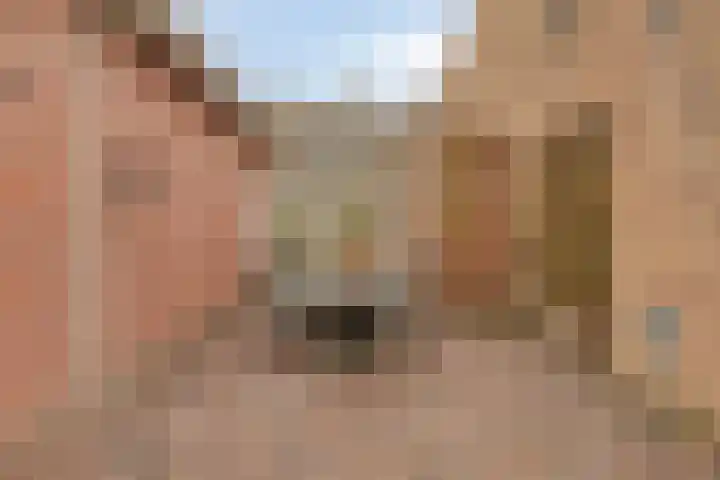 Koningin Wilhelminastr 7 Ossendrecht thumbnail 43
