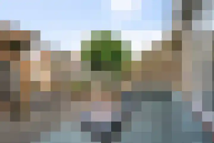 Koningin Wilhelminastraat 10 Heemskerk thumbnail 10