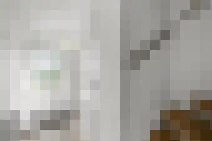 Koningin Wilhelminastraat 10 Heemskerk thumbnail 19