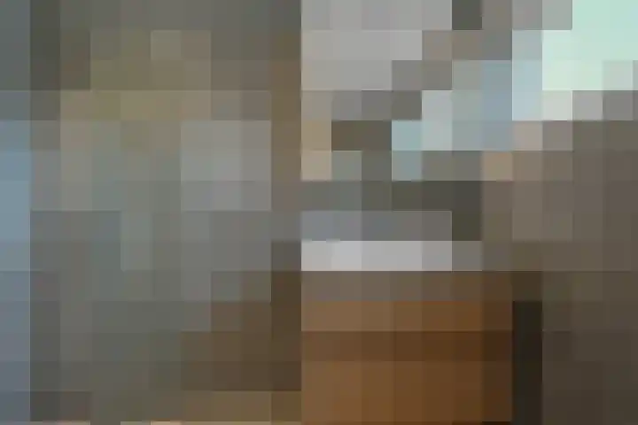 Koningin Wilhelminastraat 10 Heemskerk thumbnail 32