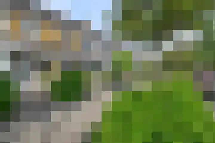 Koningin Wilhelminastraat 10 Heemskerk thumbnail 43