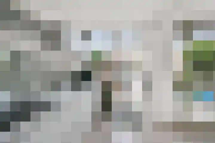 Koningin Wilhelminastraat 10 Heemskerk thumbnail 8