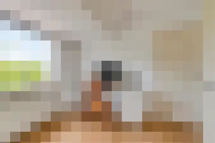 Koningin Wilhelminastraat 10 Woudenberg thumbnail 19