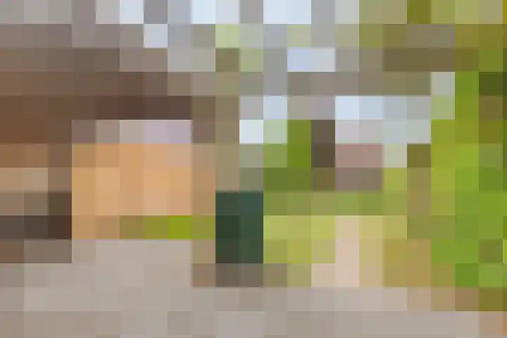 Koningin Wilhelminastraat 10 Woudenberg thumbnail 25