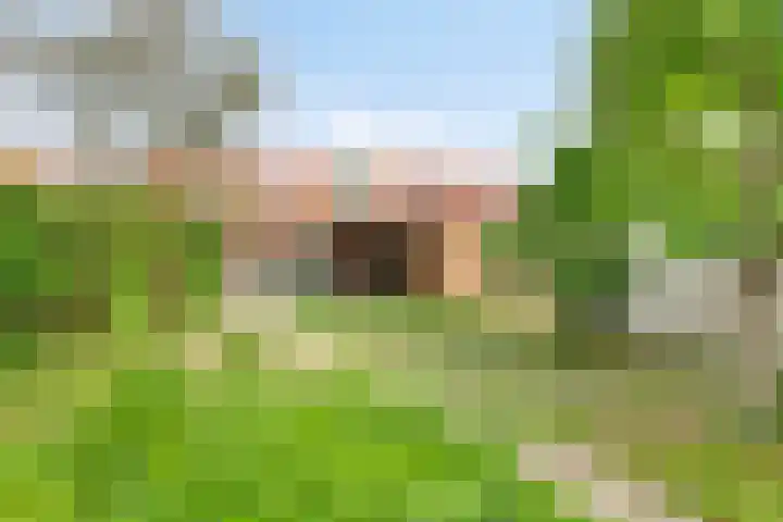 Koningin Wilhelminastraat 10 Woudenberg thumbnail 27