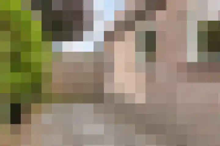 Koningin Wilhelminastraat 10 Woudenberg thumbnail 35