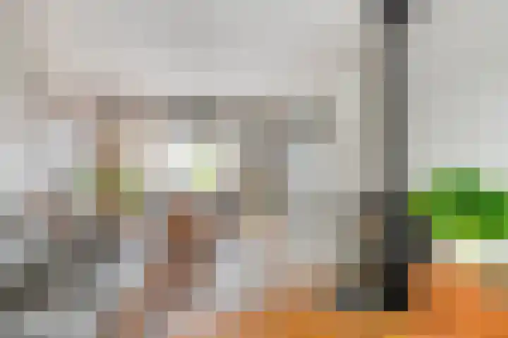 Koningin Wilhelminastraat 10 Woudenberg thumbnail 6