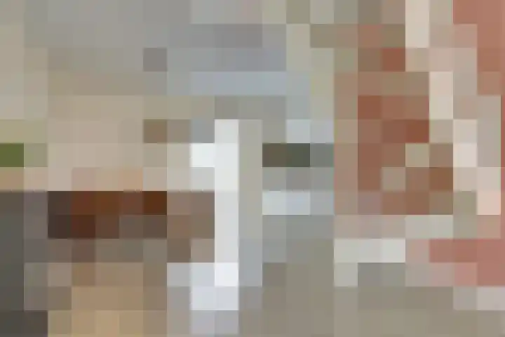 Koningin Wilhelminastraat 11 De Lier thumbnail 10
