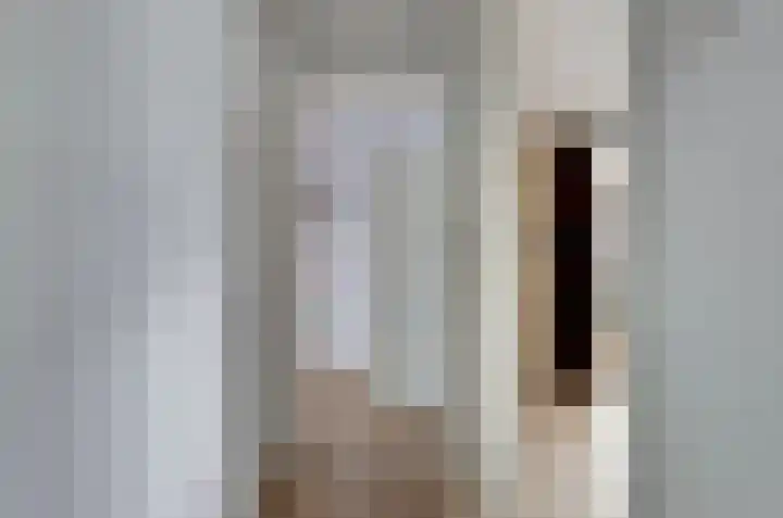 Koningin Wilhelminastraat 11 De Lier thumbnail 14