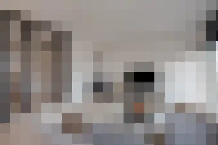 Koningin Wilhelminastraat 11 Nootdorp thumbnail 10