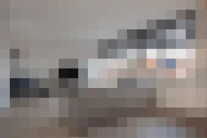 Koningin Wilhelminastraat 11 Nootdorp thumbnail 11