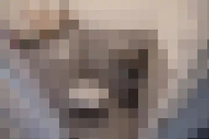 Koningin Wilhelminastraat 11 Nootdorp thumbnail 22