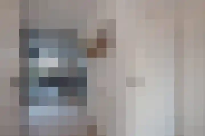 Koningin Wilhelminastraat 11 Nootdorp thumbnail 6