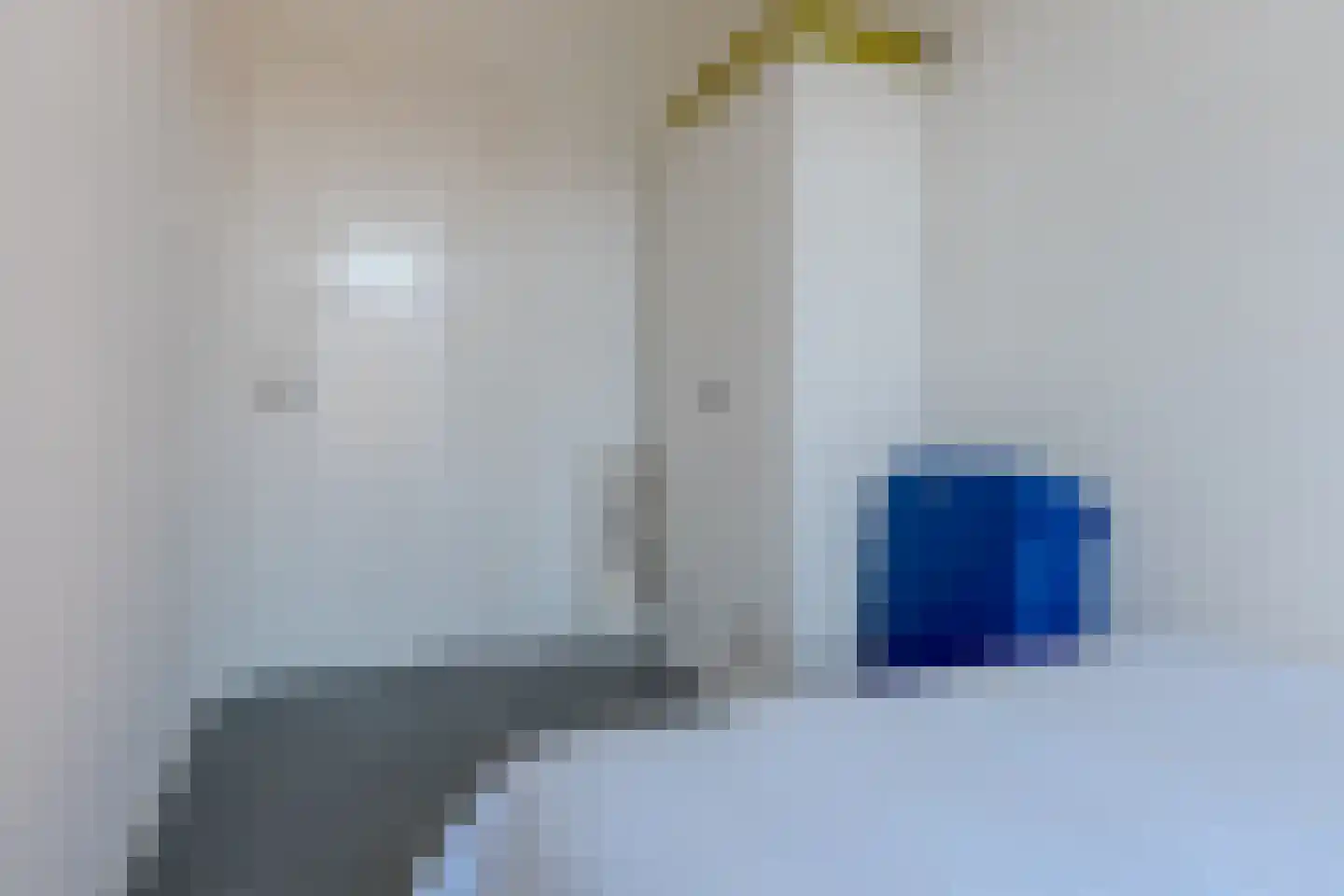 Koningin Wilhelminastraat 14 A Zwolle thumbnail 28