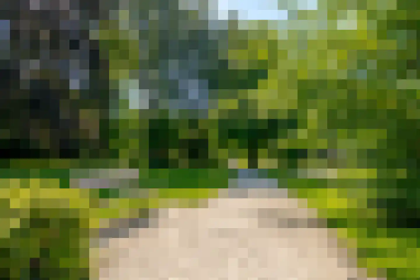 Koningin Wilhelminastraat 14 A Zwolle thumbnail 63
