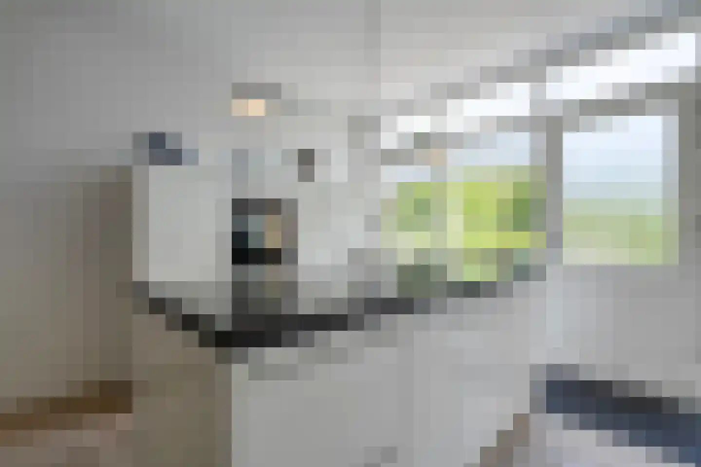 Koningin Wilhelminastraat 14 Zwolle thumbnail 15