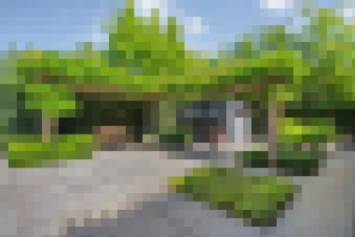 Koningin Wilhelminastraat 14 Zwolle thumbnail 45