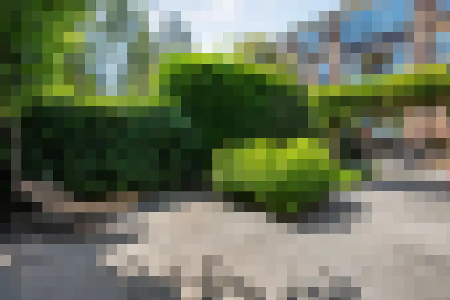 Koningin Wilhelminastraat 14 Zwolle thumbnail 46