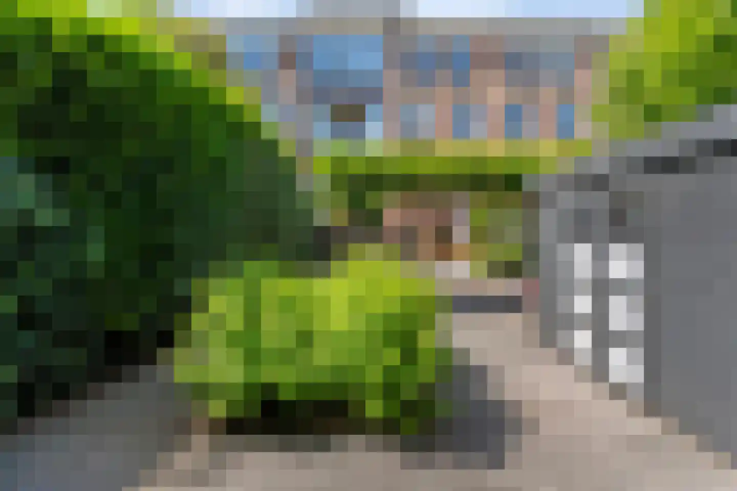 Koningin Wilhelminastraat 14 Zwolle thumbnail 49