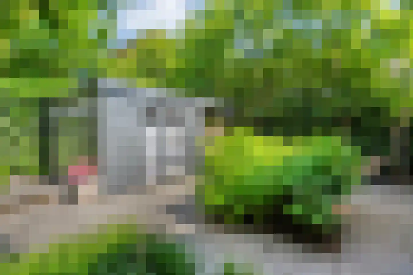 Koningin Wilhelminastraat 14 Zwolle thumbnail 51