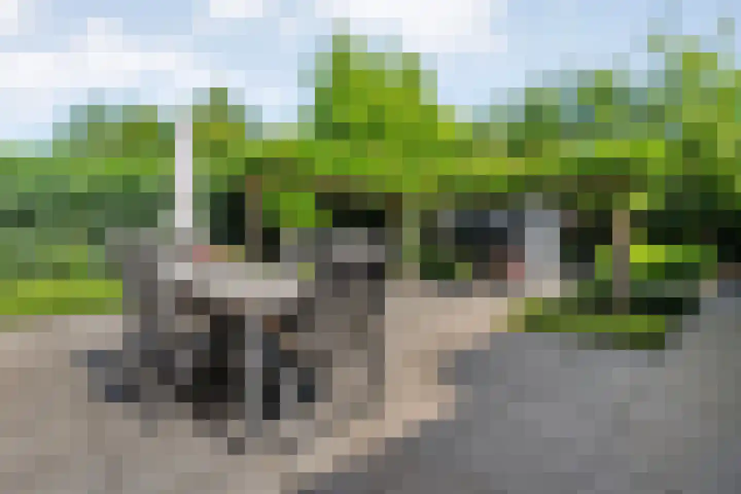 Koningin Wilhelminastraat 14 Zwolle thumbnail 52