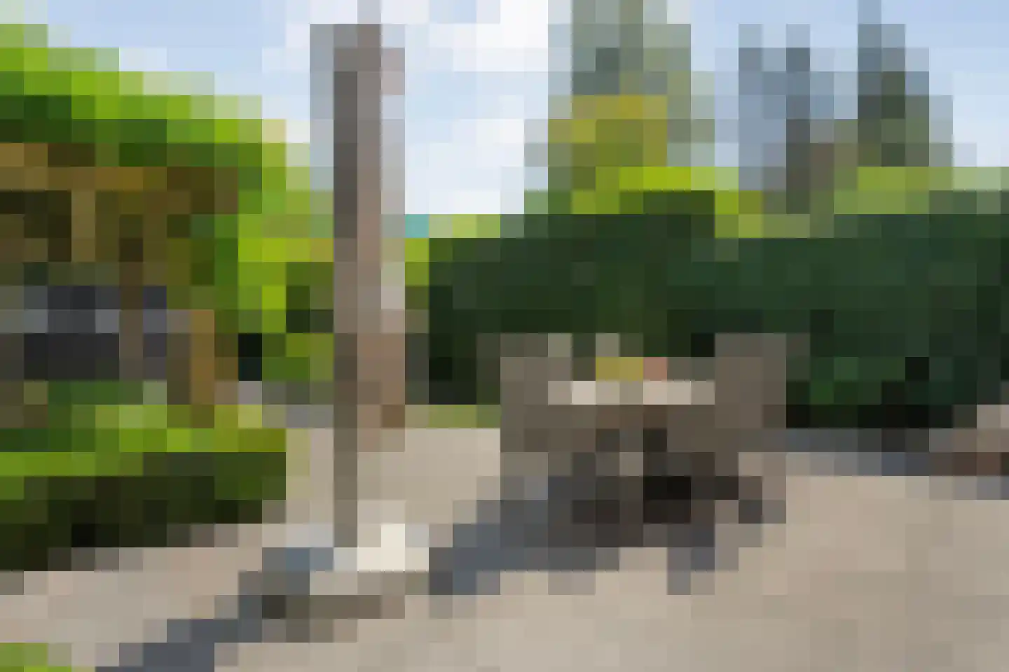 Koningin Wilhelminastraat 14 Zwolle thumbnail 53