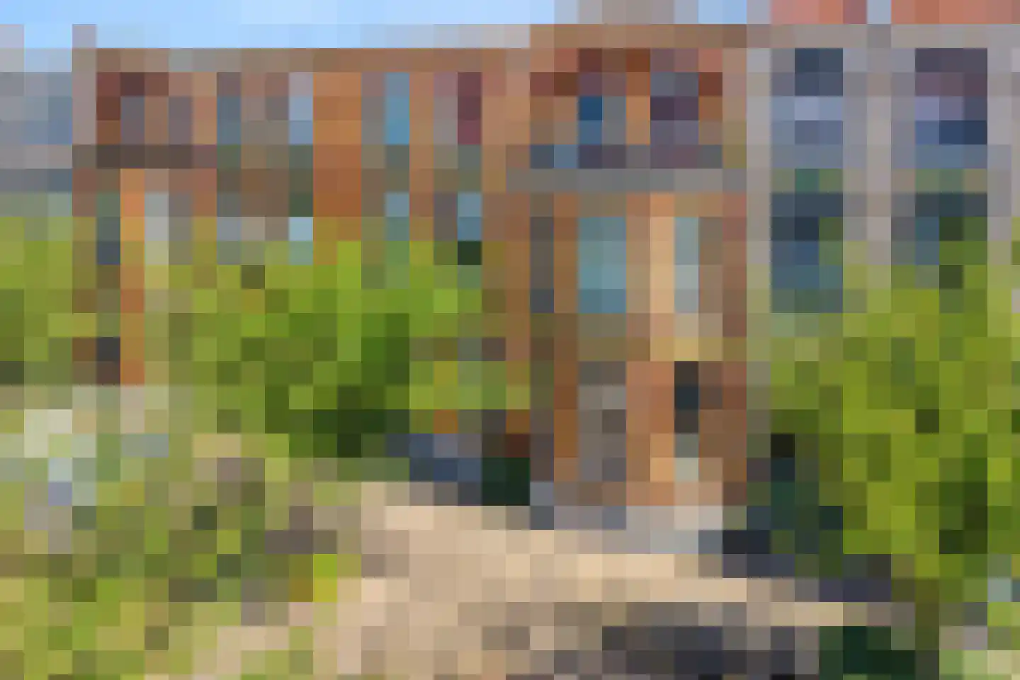 Koningin Wilhelminastraat 14 Zwolle thumbnail 57