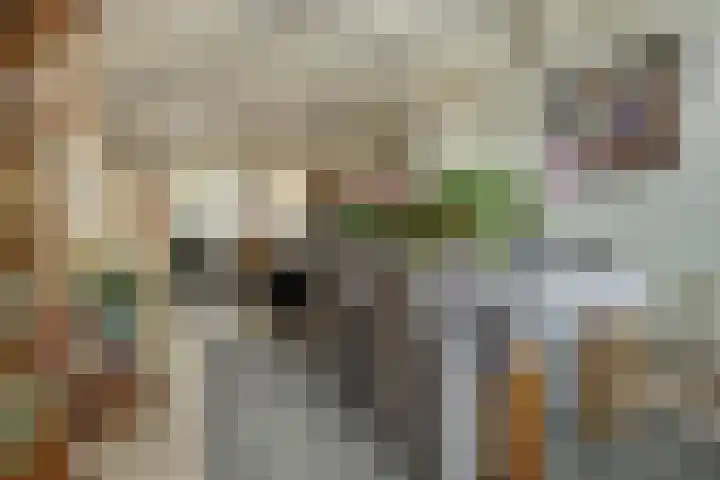 Koningin Wilhelminastraat 16 De Lier thumbnail 10