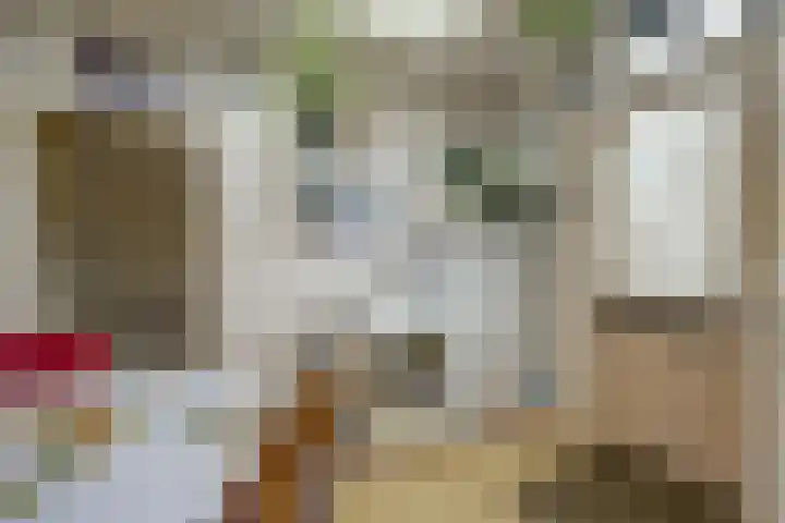 Koningin Wilhelminastraat 16 De Lier thumbnail 16