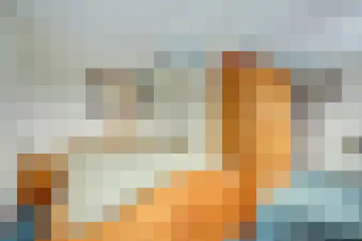 Koningin Wilhelminastraat 16 De Lier thumbnail 21