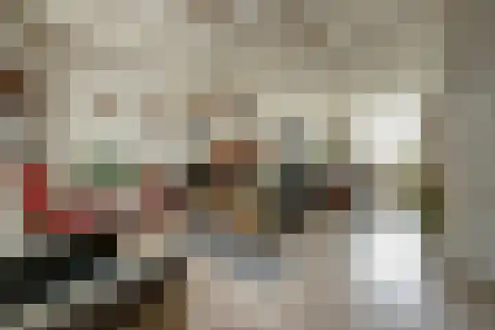 Koningin Wilhelminastraat 16 De Lier thumbnail 4