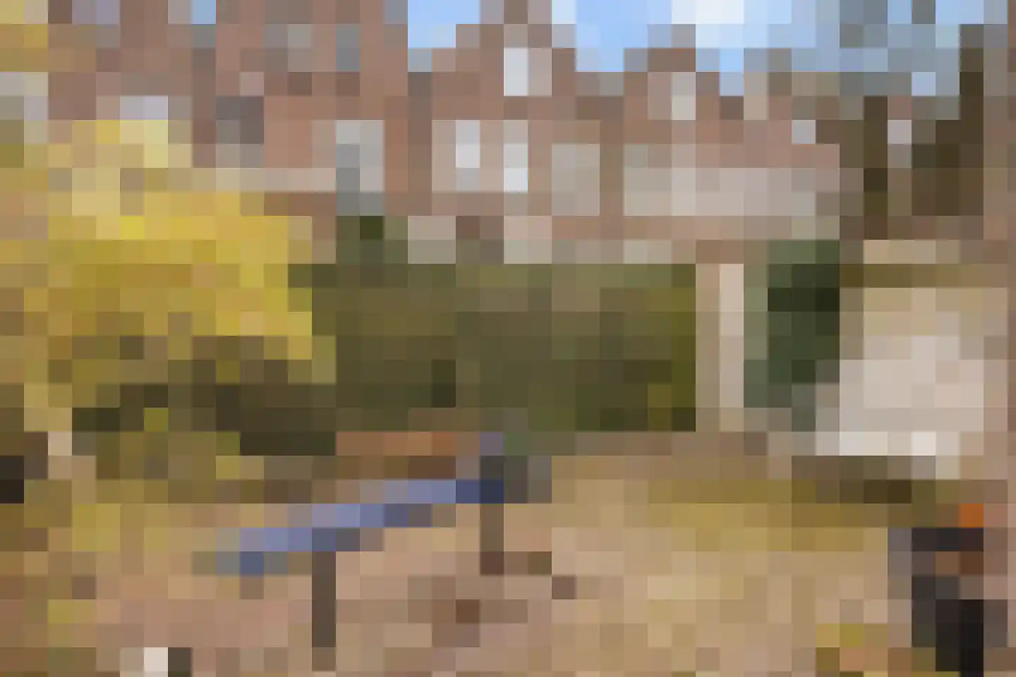 Koningin Wilhelminastraat 16 Dordrecht thumbnail 26