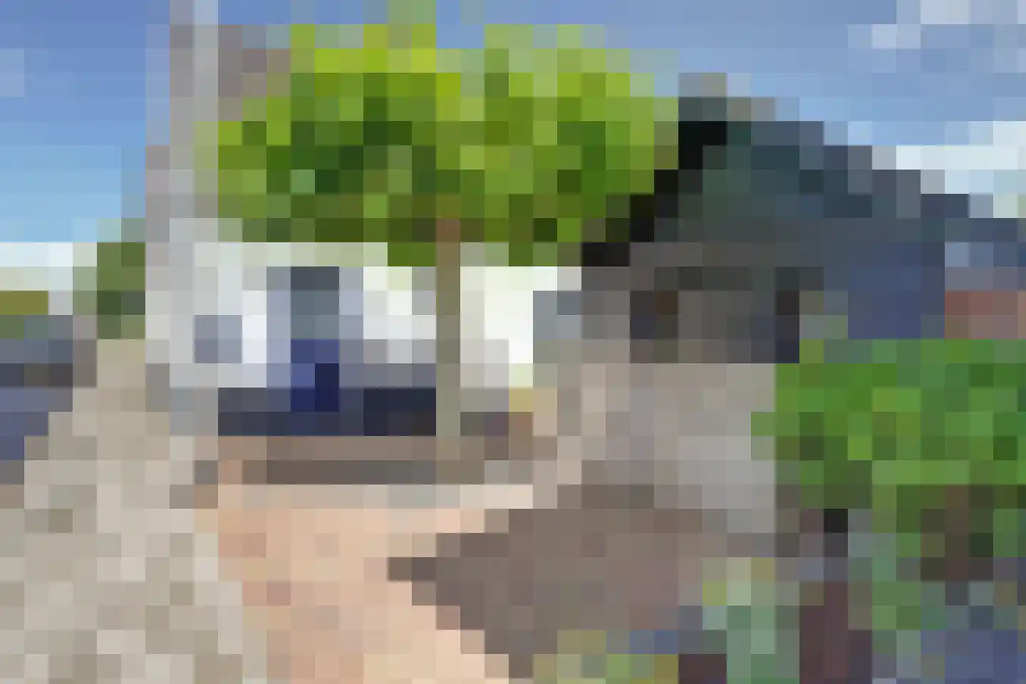 Koningin Wilhelminastraat 16 Hedel thumbnail 52