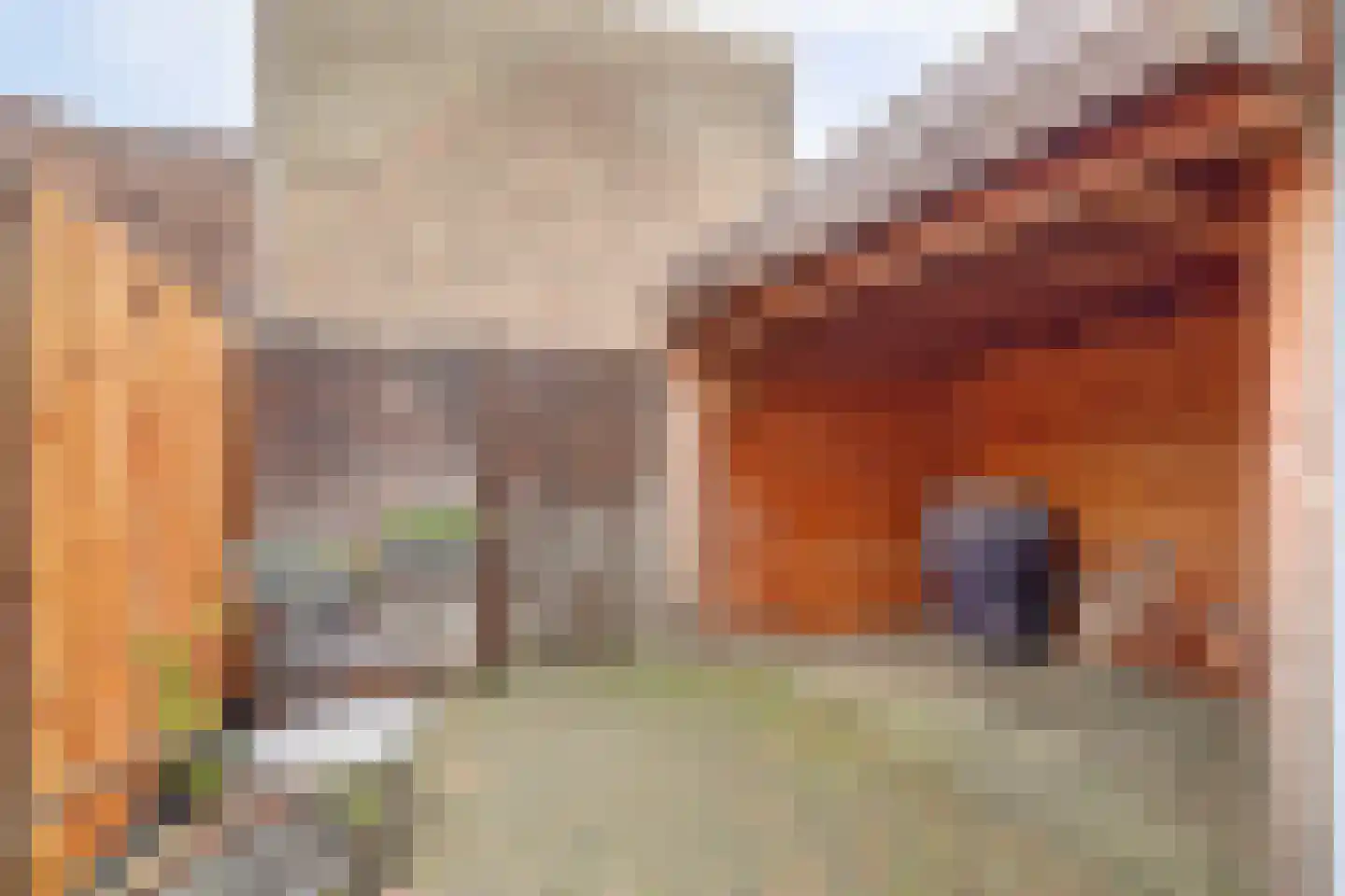 Koningin Wilhelminastraat 17 De Lier thumbnail 24