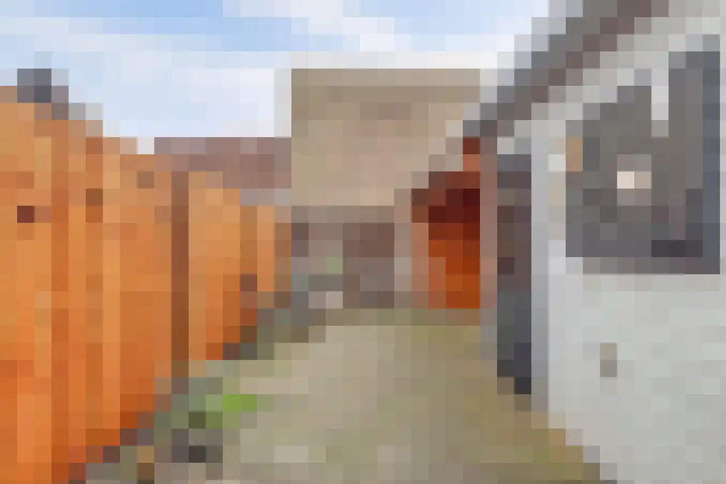 Koningin Wilhelminastraat 17 De Lier thumbnail 25